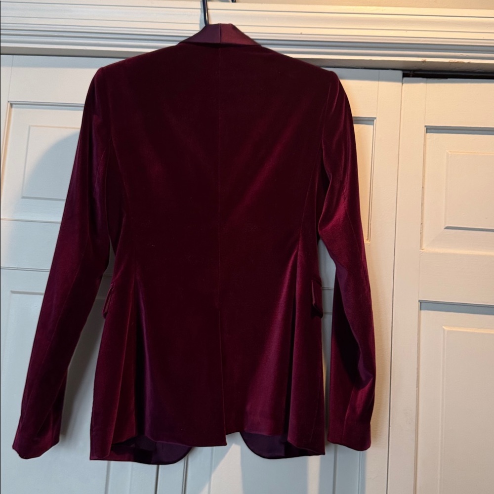 Alice and Olivia Macey Velvet Blazer - Picture 3 of 6